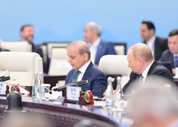 PM Shehbaz Calls for Regional Cooperation, Multilateralism at SCO Summit