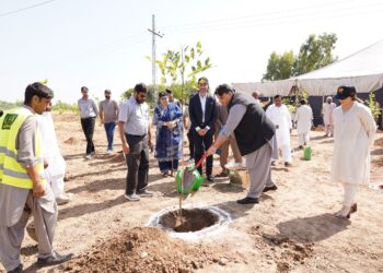Jazz Expands Green Initiatives with Tree Plantation Drive, Wins CSR Award for Healthcare Contributions
